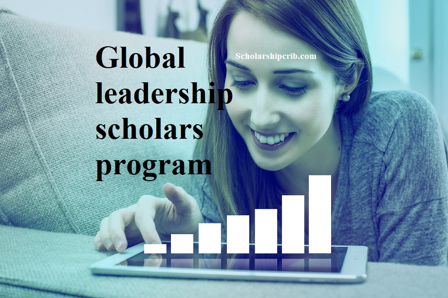 Global Leader Scholarship Programme - ScholarshipCrib